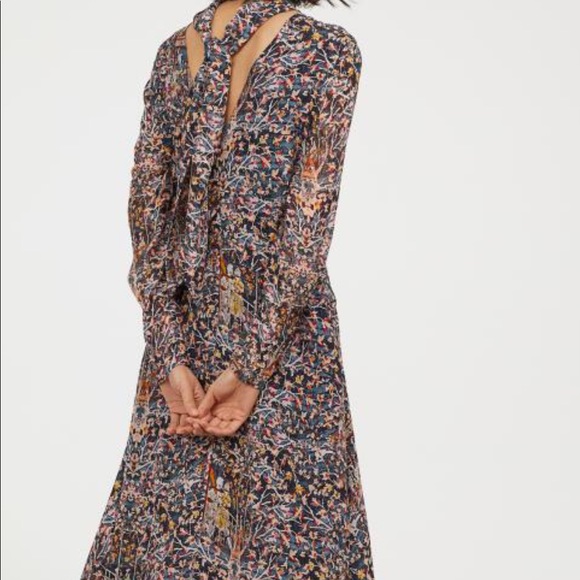 Midi Dress - H&M Conscious Exclusive - Picture 4 of 5